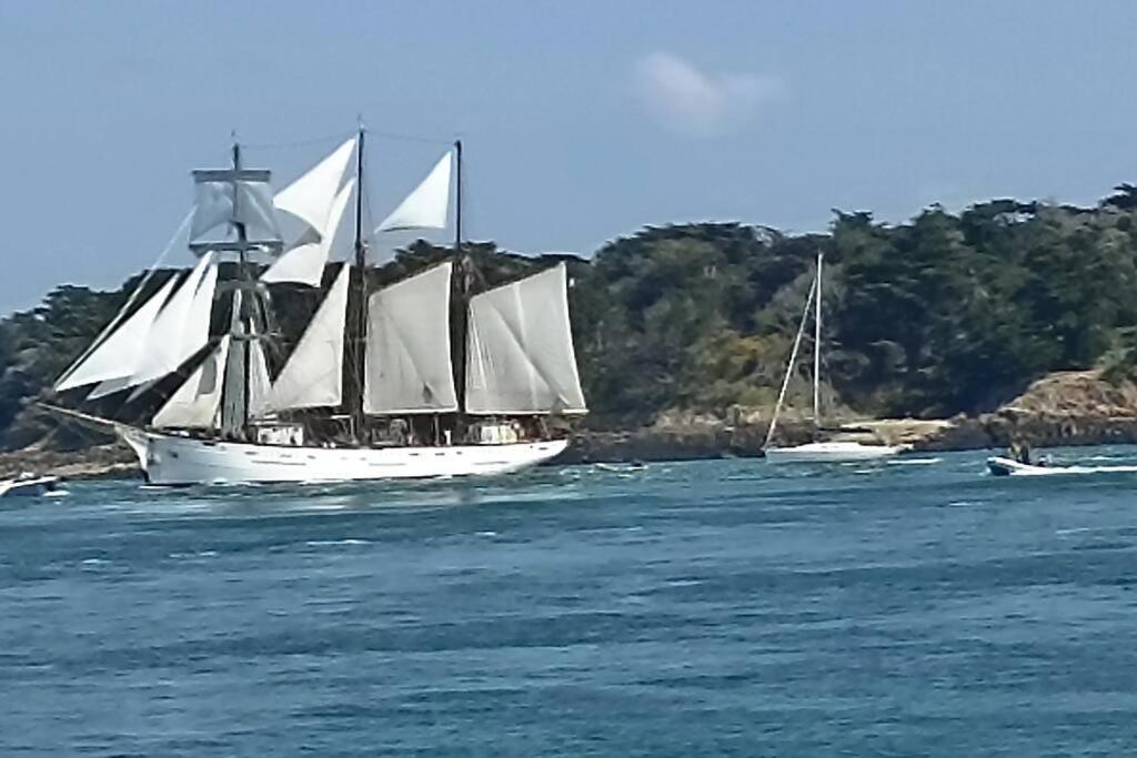Вілла Entre Golfe Et Ocean La Trinite-Surzur Екстер'єр фото